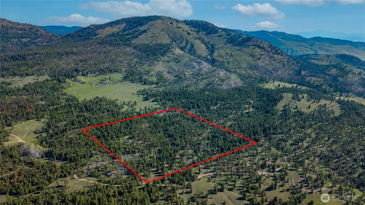 0 Tbd Mineral Hill Road, Conconully, WA 98819 - #1