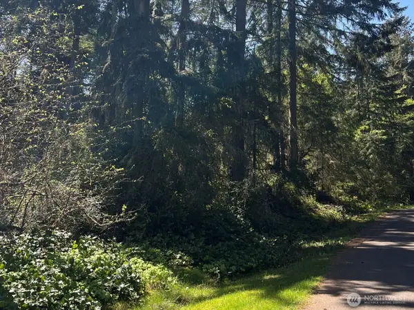 10404 Suncrest Drive, Anderson Island, WA 98303
