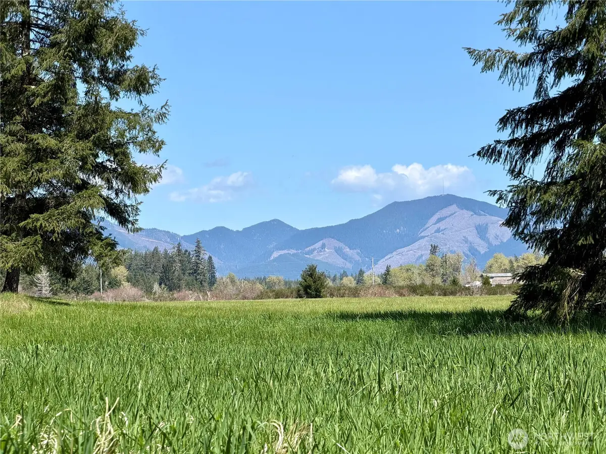 0 W Forest Green Lane, Elma, WA 98541 - #1