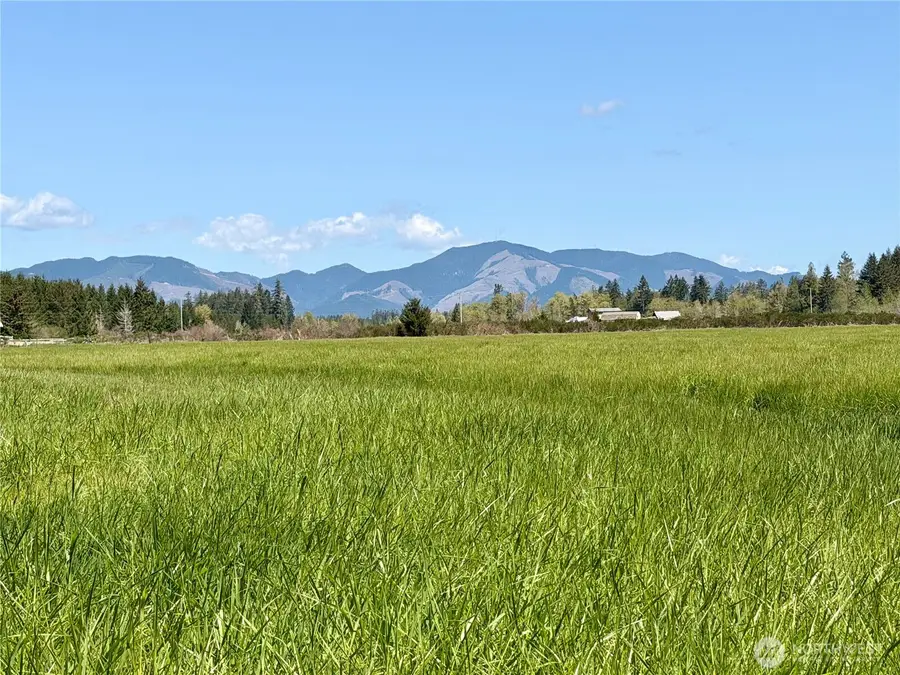 0 W Forest Green Lane, Elma, WA 98541 - #2