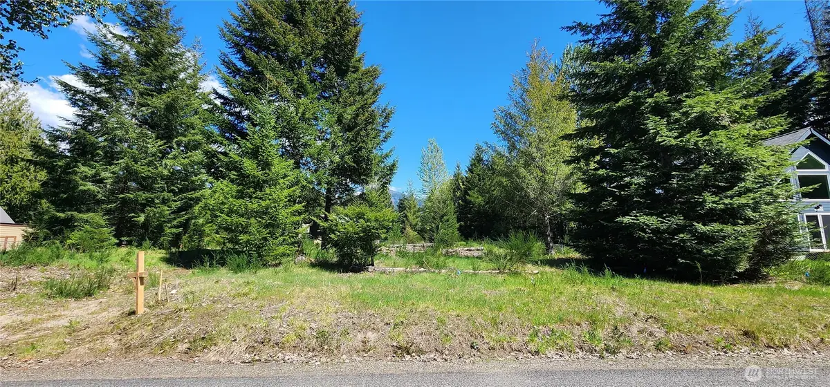 113 Cottonwood Lane #10, Packwood, WA 98361 - #1