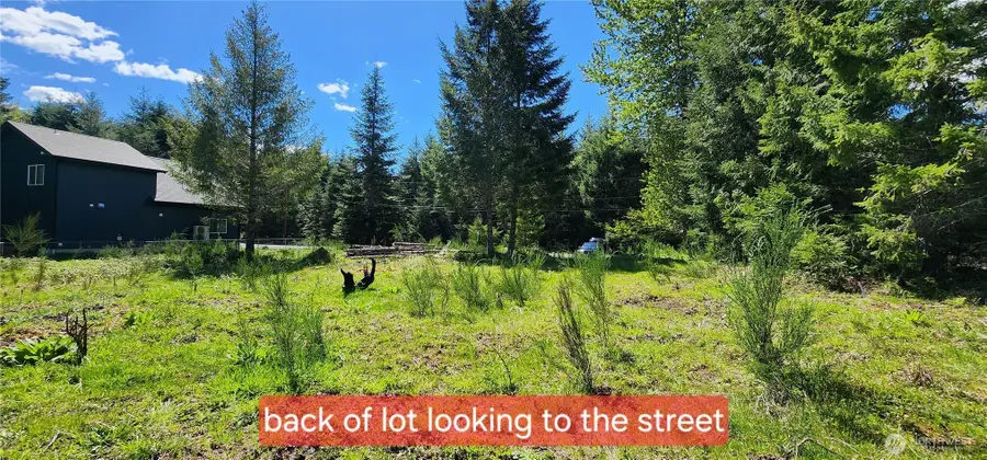 113 Cottonwood Lane #10, Packwood, WA 98361 - #3