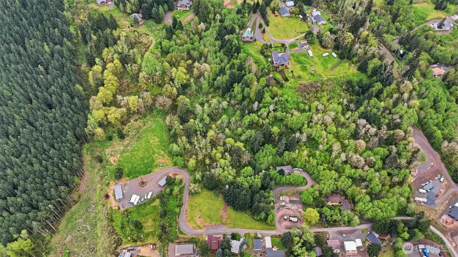 0 Lakeview Drive, Mossyrock, WA 98564 - #2
