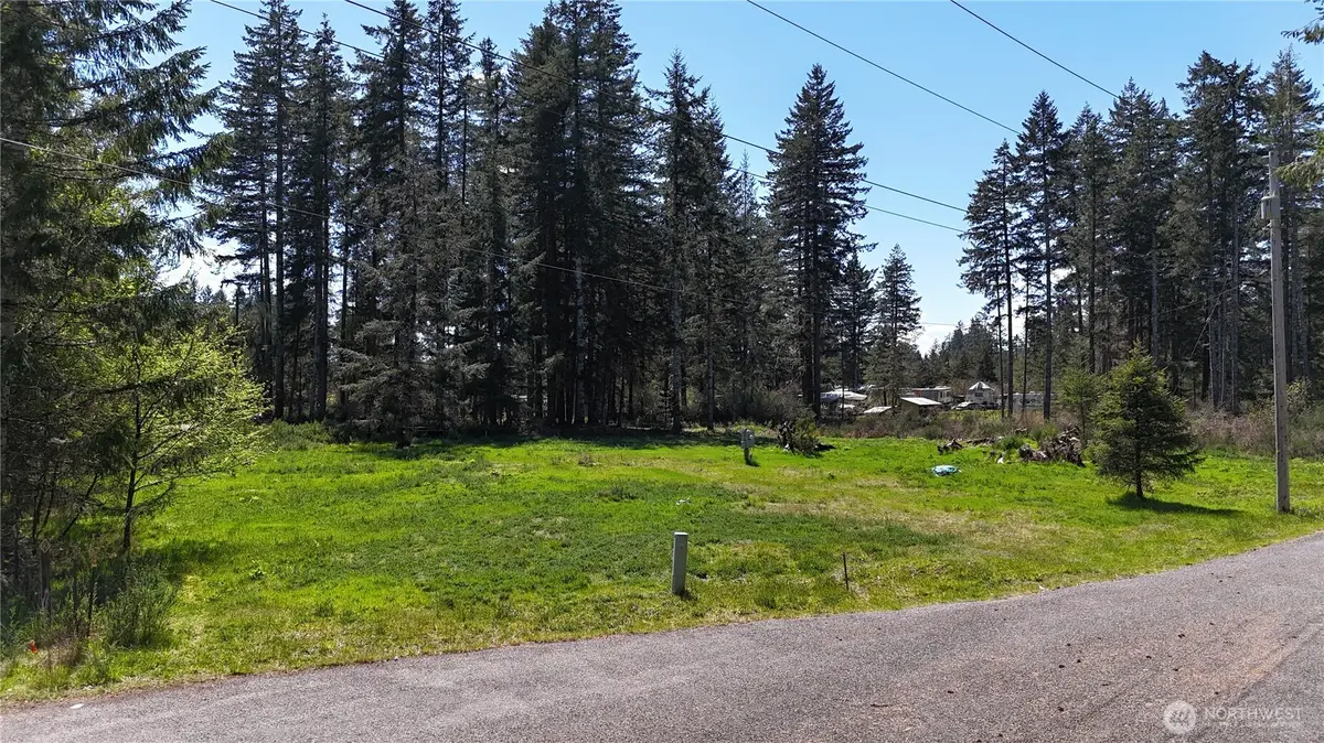 170 W Blackberry Lane, Elma, WA 98541 - #1