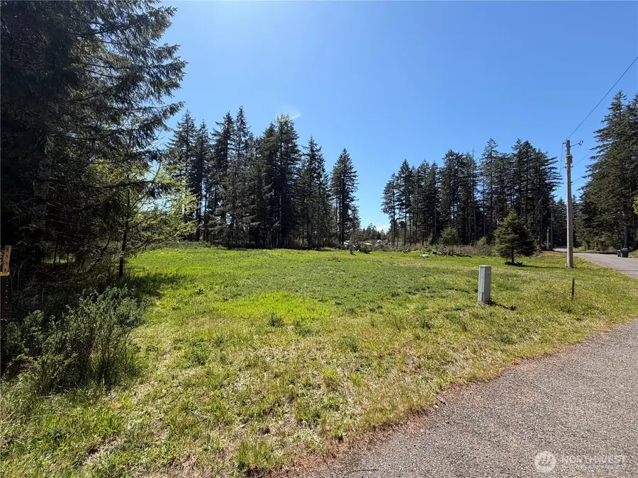 170 W Blackberry Lane, Elma, WA 98541 - #2