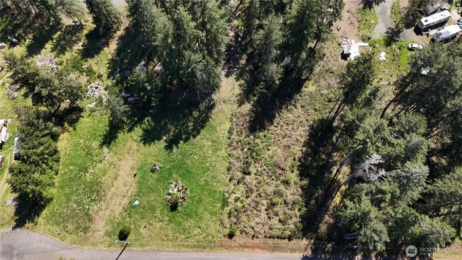 170 W Blackberry Lane, Elma, WA 98541 - #3