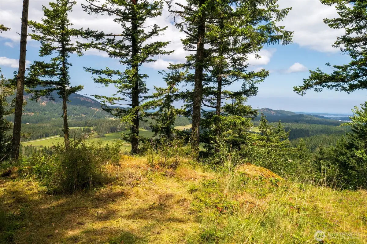 1700 Mountain Crest, Eastsound, WA 98245 - #1