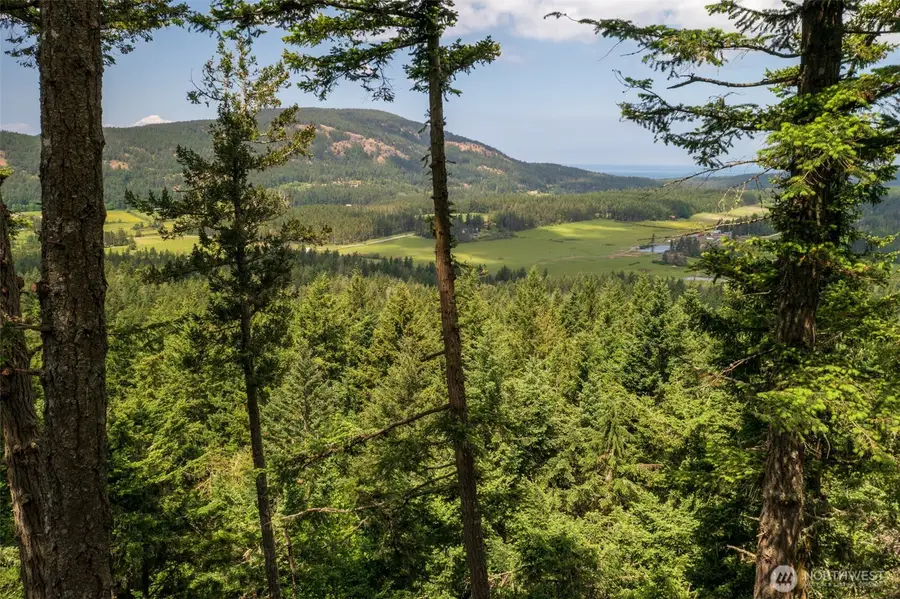 1700 Mountain Crest, Eastsound, WA 98245 - #3