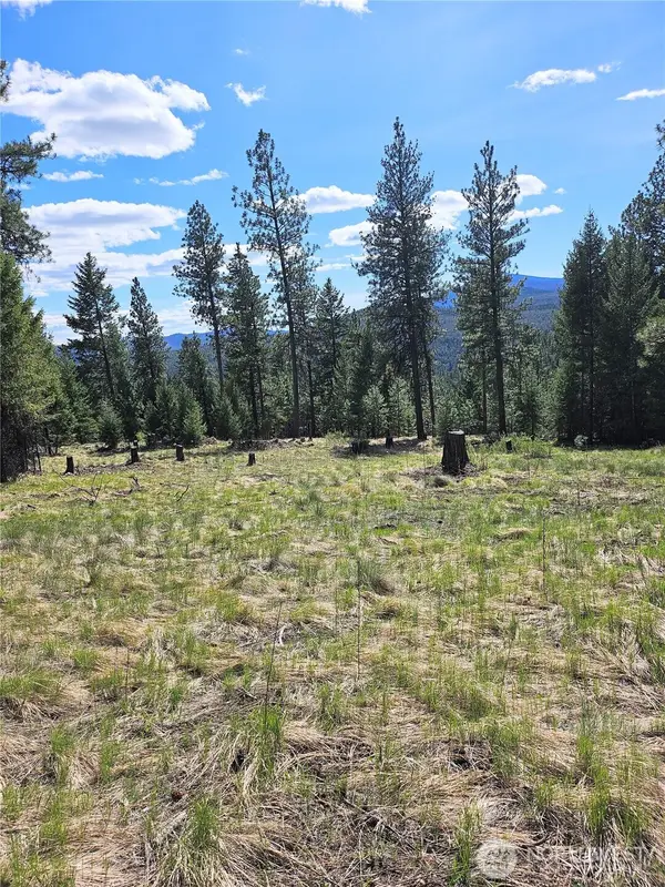 168 Prior Loop Road, Oroville, WA 98844