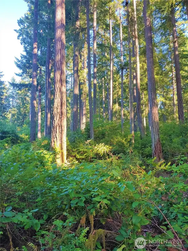 11302 106th Street #176, Anderson Island, WA 98303