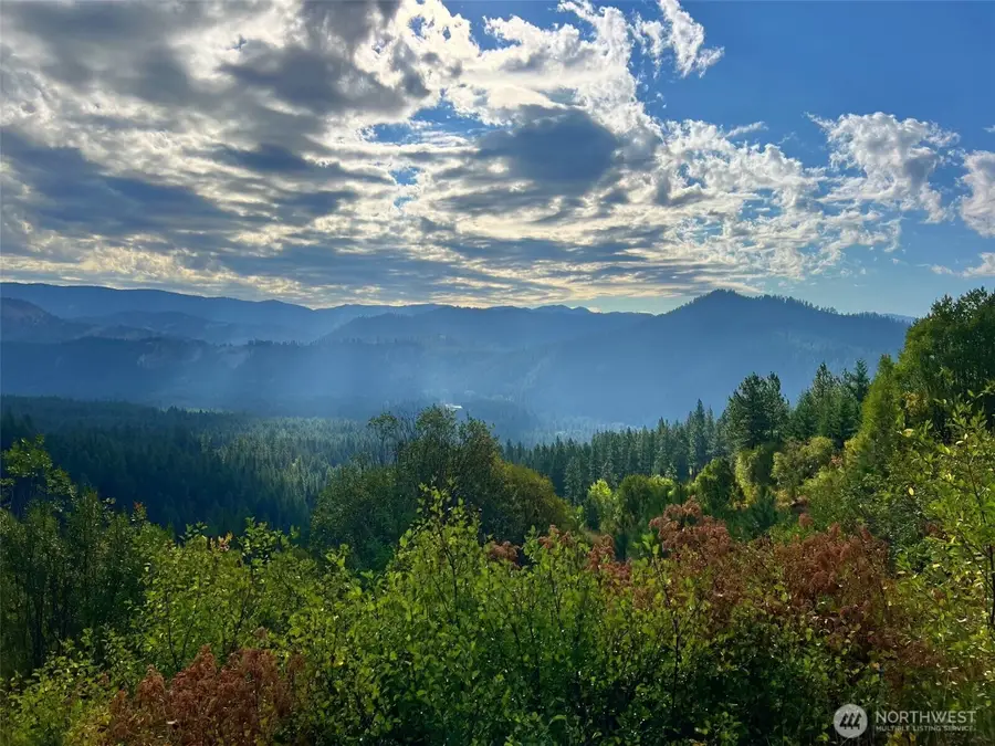 0 Juneberry Lane, Leavenworth, WA 98826 - #3