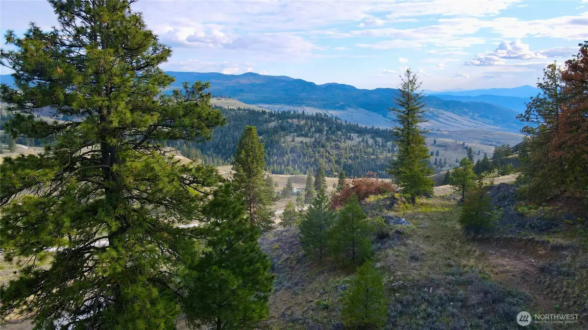 0 Blue Grouse Road, Oroville, WA 98844 - #1