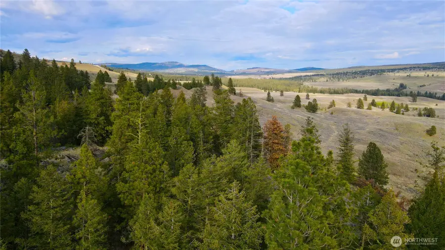 0 Blue Grouse Road, Oroville, WA 98844 - #3