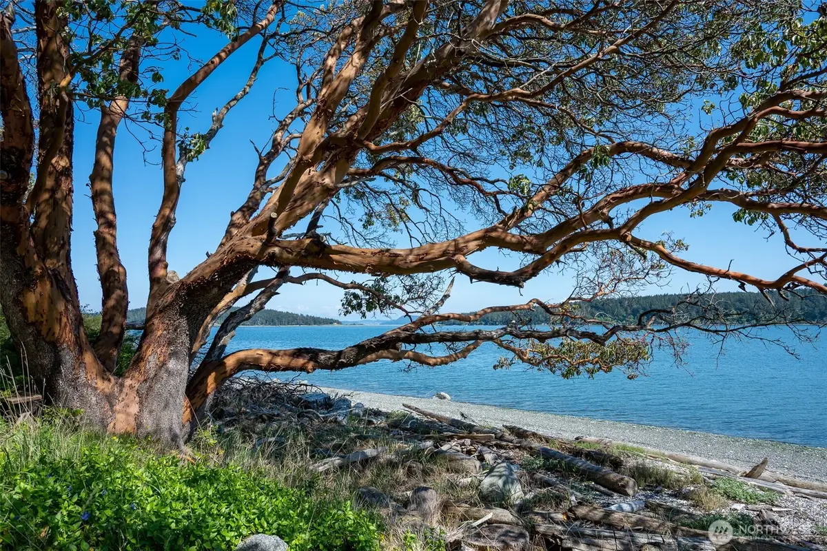 1484 Islandale Road, Lopez Island, WA 98261 - #1