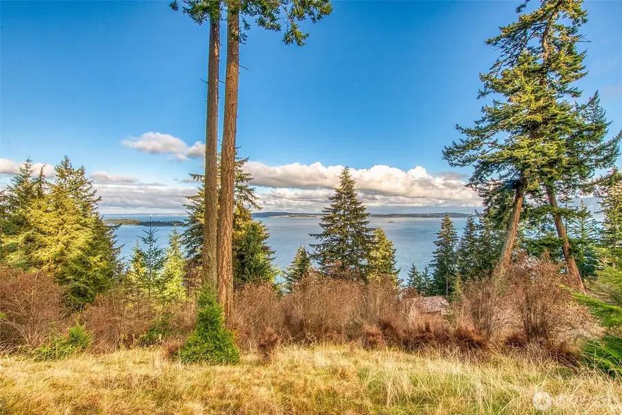359 Georgia Strait Lane #Lot 32, Olga, WA 98245 - #2
