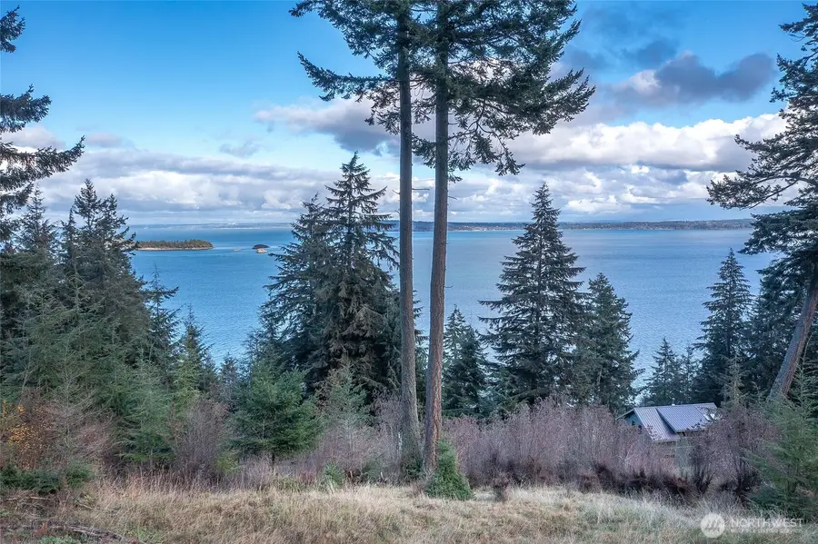 359 Georgia Strait Lane #Lot 32, Olga, WA 98245 - #3