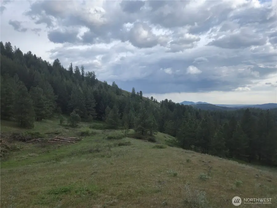 0 Fruitland Valley Road, Fruitland, WA 99129 - #3
