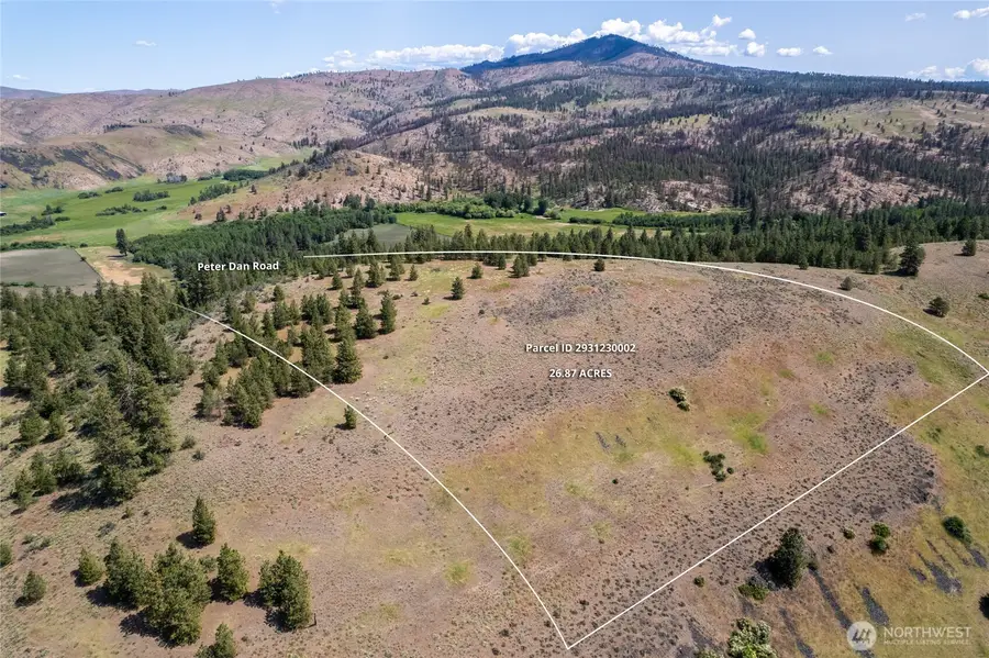 0 Peter Dan Creek Rd, Coulee Dam, WA 99116 - #3