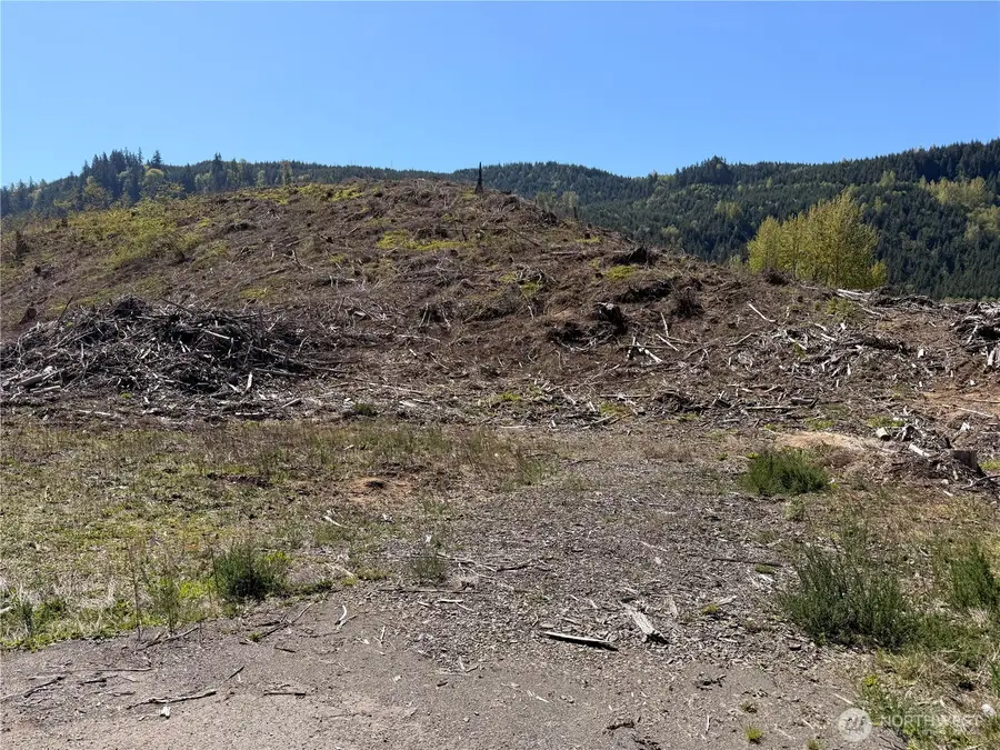 3 Us Highway 12 #3, Glenoma, WA 98336 - #2