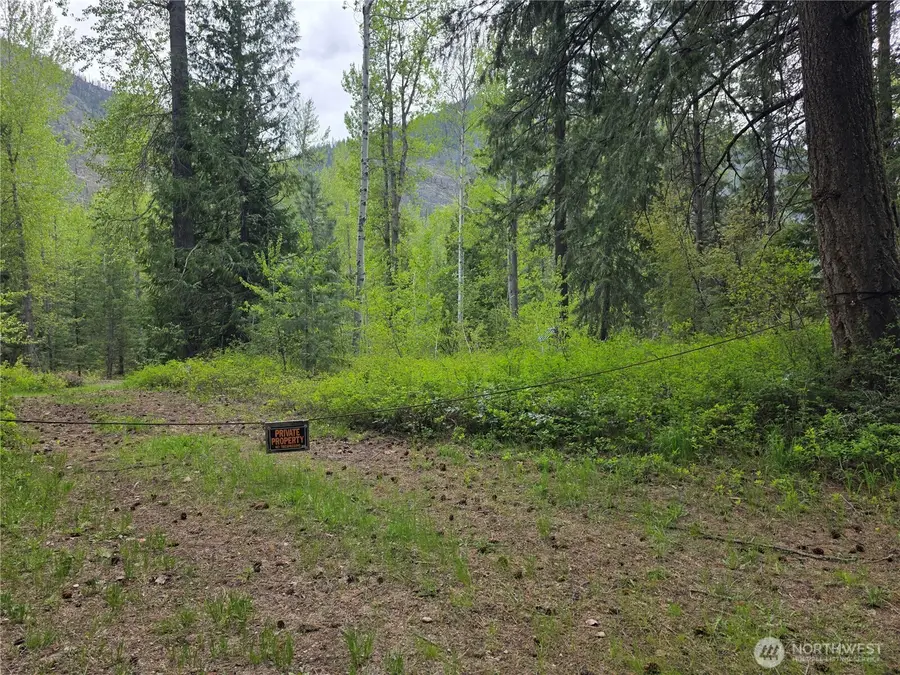 98 Cassel Way #Lot 98, Mazama, WA 98833 - #3