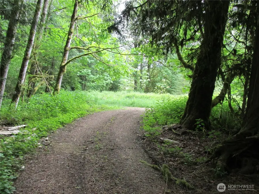 0 Arnold Lane, Concrete, WA 98237 - #2