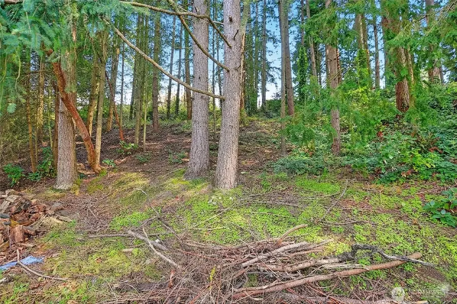 17810 Olympic View Drive #161, Edmonds, WA 98026 - #3