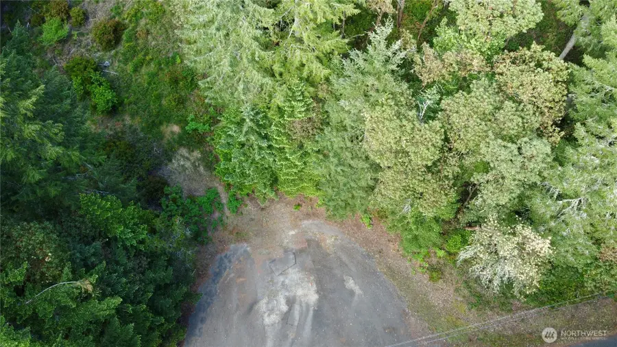 12027 Country Club Drive, Anderson Island, WA 98303 - #2