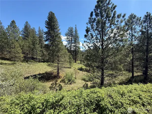 0 Fir Lane, Curlew, WA 99118