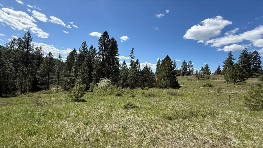 0 Fir Lane, Curlew, WA 99118 - #2