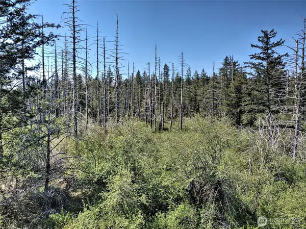 1161 NE Toonerville Drive #TR 5 OF SURVEY VOL 3 PG 98, Belfair, WA 98528