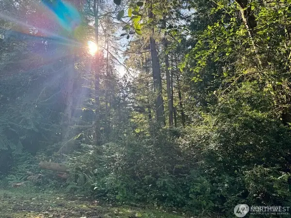 12408 93rd Street #55, Anderson Island, WA 98303