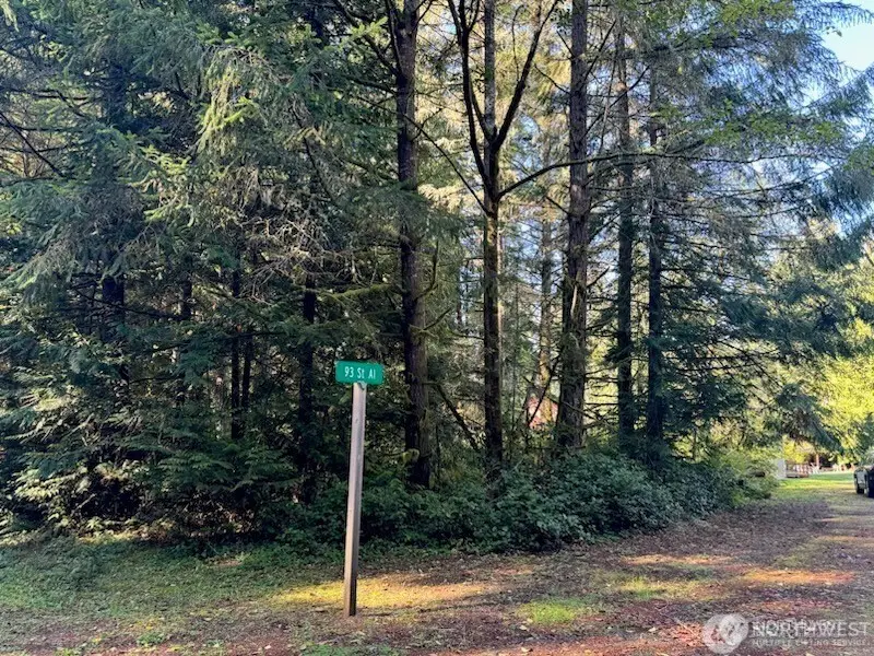 12408 93rd Street #55, Anderson Island, WA 98303 - #3