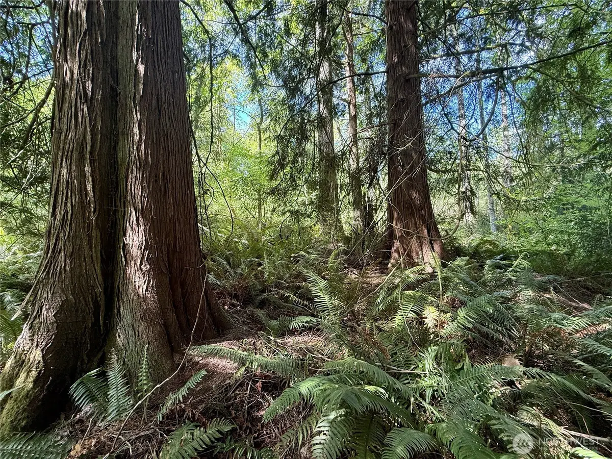 5162 Phillips Road Se, Port Orchard, WA 98367 - #1