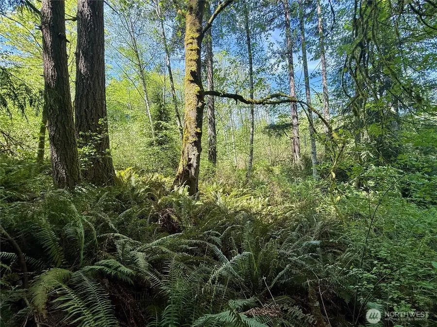 5162 Phillips Road Se, Port Orchard, WA 98367 - #3