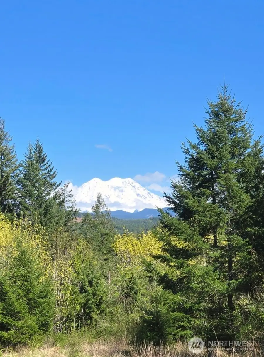 15521 Scott Turner Road E, Eatonville, WA 98328 - #2