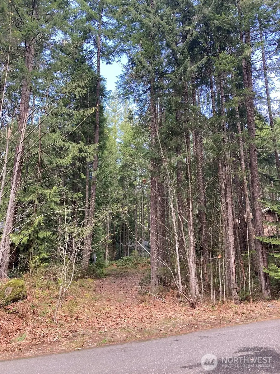 30 N Skokomish Drive, Hoodsport, WA 98548 - #2