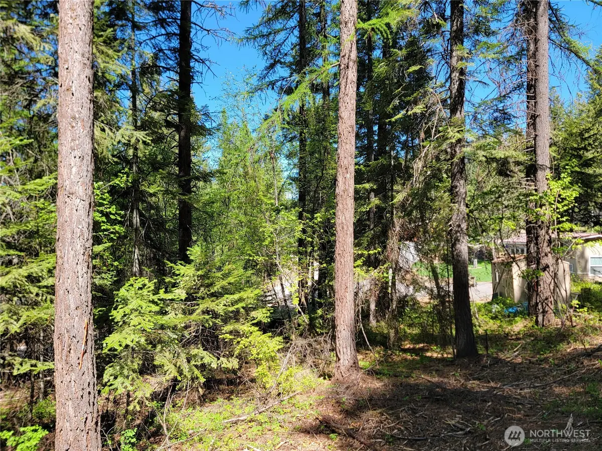 263 Twin Lakes Road #Lot 35 & 36, Inchelium, WA 99138 - #1
