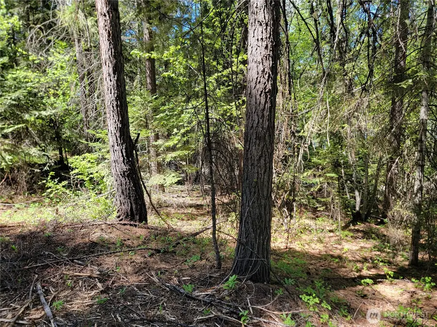 263 Twin Lakes Road #Lot 35 & 36, Inchelium, WA 99138 - #3