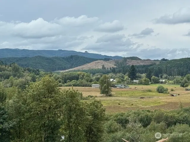 0 Garrard Creek Road, Oakville, WA 98568 - #1