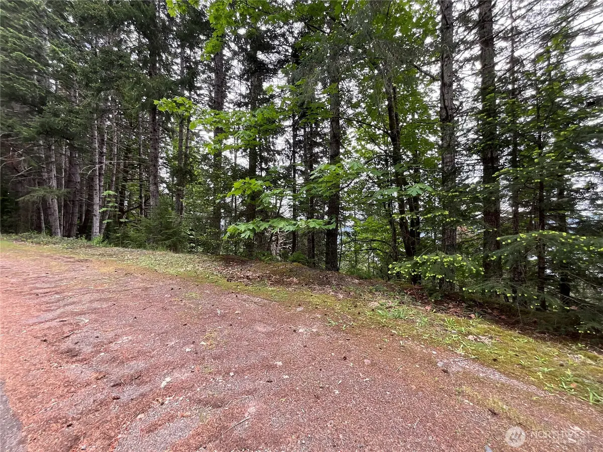 6 X N Colony Surf Drive, Lilliwaup, WA 98555 - #1
