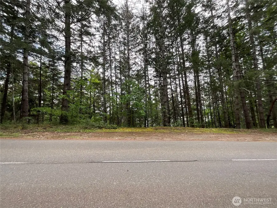 1 N Colony Surf Drive, Lilliwaup, WA 98555 - #2