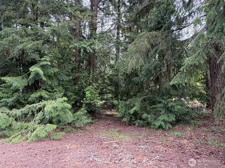 110 Rainier Court, Chehalis, WA 98532 - #2