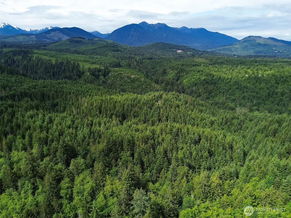 9999 Blue Mountain Road, Port Angeles, WA 98362 - #1