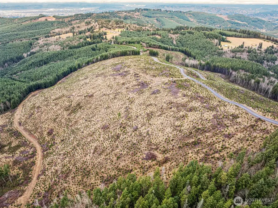 0 Mt Brynion Road, Rose Valley, WA 98632 - #3
