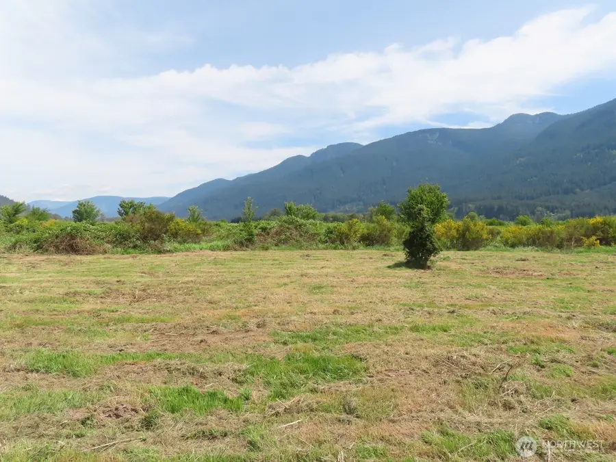 295 River Ranch Road, Randle, WA 98377 - #3
