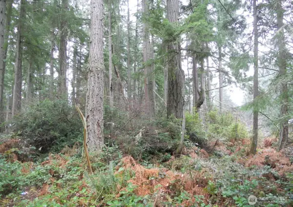 10315 107th Avenue Ct #Riv Lot 38, Anderson Island, WA 98303