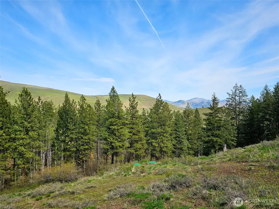 0 Whitebark Lane #70, Winthrop, WA 98862 - #2