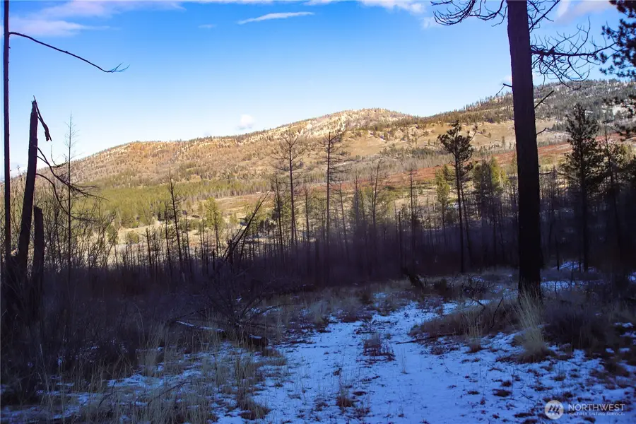 227 Red Feather Road #LOT 17, Tonasket, WA 98855 - #3