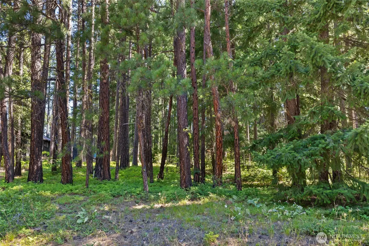 0 S Lake Cabins Road #10, Ronald, WA 98940 - #1