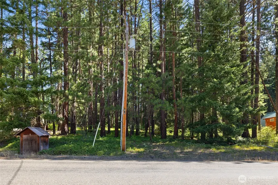0 S Lake Cabins Road #10, Ronald, WA 98940 - #2
